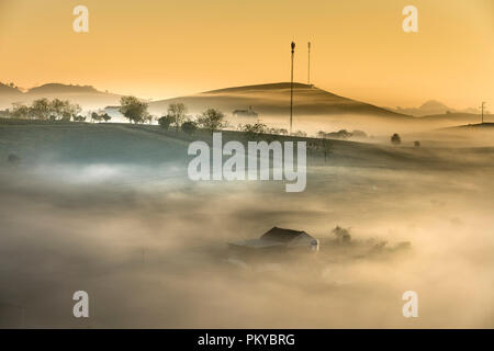 Phantasievolle Dawn mit frühen Morgen Tau auf Teeplantagen bei Moc Chau Farm, Son La Provinz, Vietnam Stockfoto