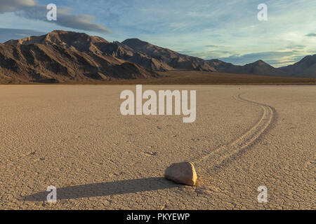 Die verschiebbare Felsen am Racetrack Playa, Death Valley National Park, California, United States. Stockfoto