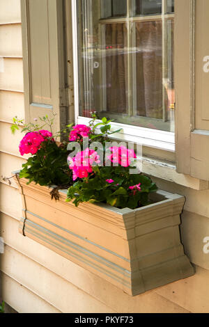 Holz Blumenkasten am Fenster mit rosa Geranien, in das er gepflanzt. Stockfoto