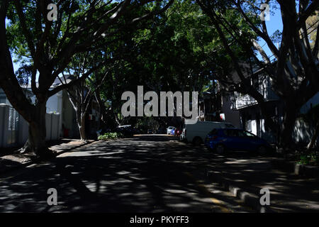 Australische Schilder & Fußgänger Stockfoto