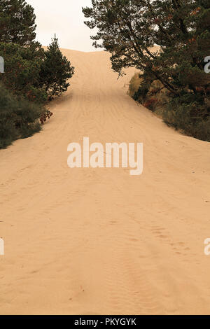 Oregon Dunes National Recreation Area Stockfoto