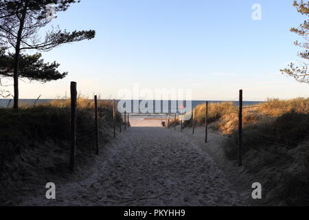 Sandy Fußweg zum Strand und aufs offene Meer Strand mit Bäumen und Gras im September, kurz vor Sonnenuntergang Stockfoto