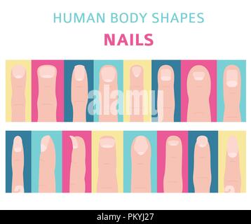 Menschliche Körper formen. Hand Finger Nail Art Set. Vector Illustration Stock Vektor