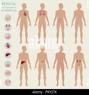 Medizin und Gesundheitswesen Infografik, Elemente für die Erstellung von Infografiken. Vector Illustration Stock Vektor