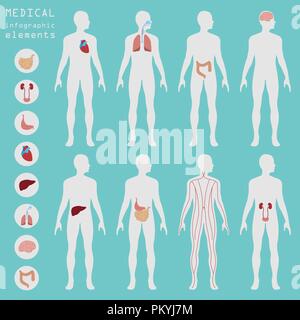 Medizin und Gesundheitswesen Infografik, Elemente für die Erstellung von Infografiken. Vector Illustration Stock Vektor