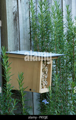 Ein Hotel für Bienen, Insekten oder Insekten, das neu auf einem Holzzaun in der Nähe einer blühenden Rosmarin-Pflanze (Rosmarinus officinalis) in einem Garten in Sydney in Australien installiert wurde Stockfoto
