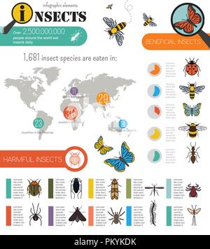 Insekten Infografik Vorlage. Vector Illustration Stock Vektor