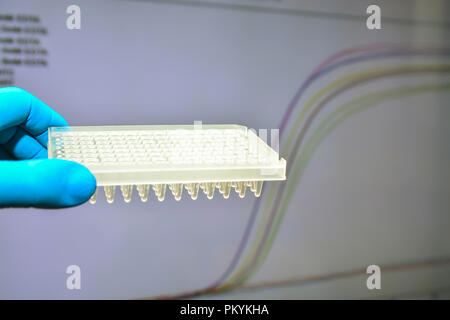 Echtzeit-PCR-Forschung im Labor. 96-Well Platte auf dem Hintergrund der Verstärkung Kurven. Stockfoto