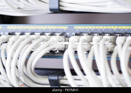 Schnelle Gigabit Ethernet Netzwerk Switch im Rechenzentrum Stockfoto