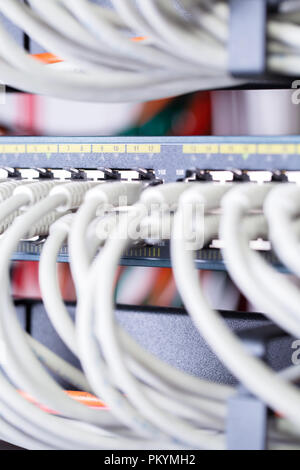 Close-up von Gigabit Netzwerk Switch und Kabel im Rechenzentrum Stockfoto