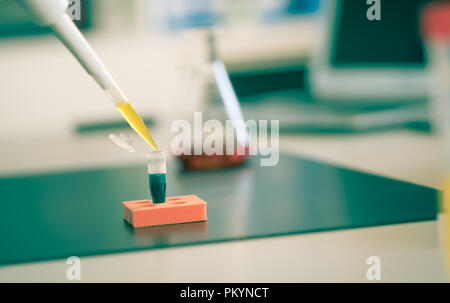 PCR-Streifen in der genetischen Labor Stockfoto