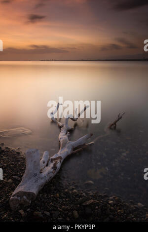 Schöne Seascape Bild bei Sonnenuntergang mit einem Stück Treibholz im Vordergrund. Stockfoto