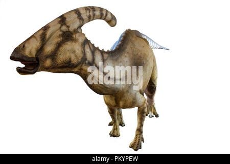 Parasaurolophus auf weißem Hintergrund Stockfoto