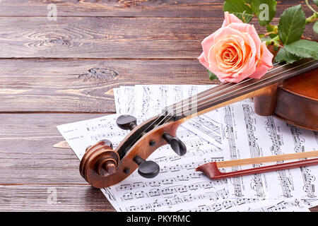 Klassische Musik Instrument und rosa Rose. Stockfoto