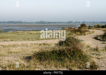 Pagham Hafen lokale Nature Reserve in der Nähe von Chichester in West Sussex Stockfoto