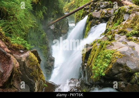 Sol Duc fällt, Sol Duc Wald, Olympic National Park oder die Halbinsel, Port Angeles, Washington State, USA. Stockfoto