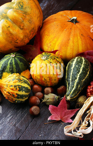 Vielfältiges Sortiment der Kürbisse auf einem hölzernen Hintergrund. Herbst Ernte. Stockfoto