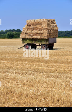 Strohballen auf einem Anhänger auf dem Feld Stockfoto