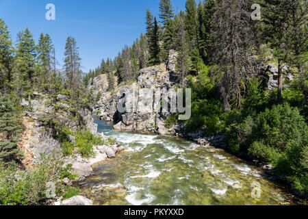 Blick von der mittleren Gabel der Salmon River in Idaho Frank Kirche Wildnis. Beliebte für Whitewater Rafting im Sommer Stockfoto