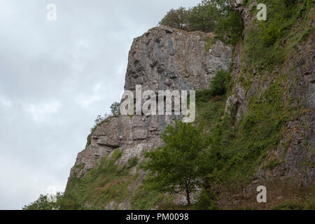 Cheddar Gorge, Somerset - England Stockfoto