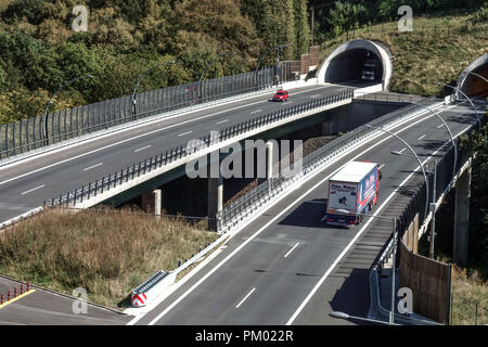 Verkehr auf einer Autobahnbrücke in der Nähe von Prackovice, Tschechische Republik Stockfoto