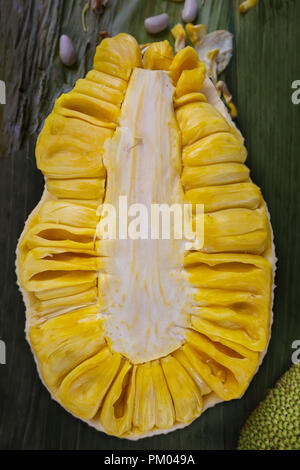 Jackfruit in Hälften schneiden, in Scheiben geschnitten, Samen, Gelb, juicily, am CO2-Markt der Stadt Cebu Philippinen Stockfoto