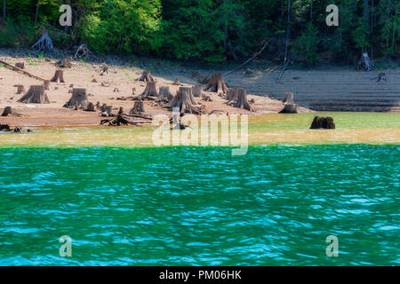 Die Freigabe der Gewässer in Detroit Lake Dam zeigt die Reste der Bäume, die entlang der See Küste entfernt wurden. Stockfoto