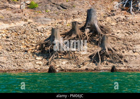 Die Freigabe der Gewässer in Detroit Lake Dam zeigt die Reste der Bäume, die entlang der See Küste entfernt wurden. Stockfoto