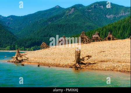 Die Freigabe der Gewässer in Detroit Lake Dam zeigt die Reste der Bäume, die entlang der See Küste entfernt wurden. Stockfoto