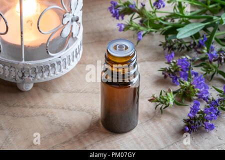 Eine Flasche Öl mit frischen blühenden Ysop Stockfoto