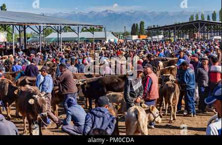 Berühmte Mals Basar (мал базары), oder tierischen Basar, in Karakol, Kirgisien. Stockfoto