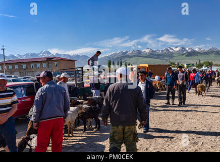 Berühmte Mals Basar (мал базары), oder tierischen Basar, in Karakol, Kirgisien. Stockfoto