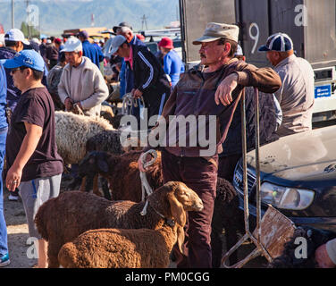 Berühmte Mals Basar (мал базары), oder tierischen Basar, in Karakol, Kirgisien. Stockfoto