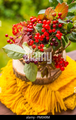 Noch immer leben mit einem Blumenstrauß Garten Blumen und Beeren. Kräutermedizin. Aronia, Herbarium, Bündel von Mountain Ash, mit der gefallenen Blätter im Herbst auf einer hölzernen, gelben Hintergrund. Mockup für saisonale Angebote und Urlaub Post Card Stockfoto