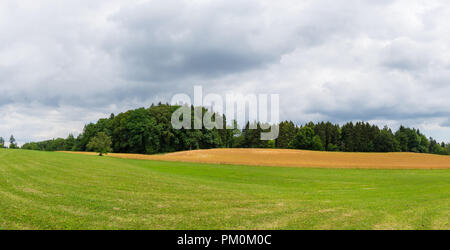 XXL Panorama der grünen Wald hinter Gelb Maisfelder und grünen Weide Stockfoto