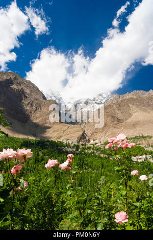 Karimabad, Hunza Tal, Gilgit-Baltistan, Pakistan: Ultar Peak 7,388 m überragt Baltit Fort, im 8 CE gegründet und die Hochburg der Mir Stockfoto