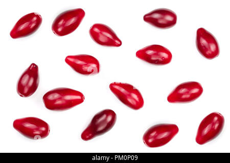 Rote beeren cornel oder Hartriegel auf weißem Hintergrund. Ansicht von oben. Flach Stockfoto