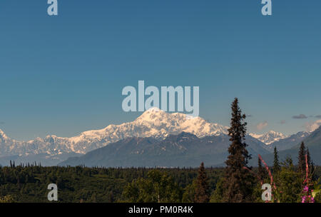 Ansicht der Denali (Mount McKinley), "Der Hohe" in Athabascan, vor blauem Himmel im Sommer. Der höchste Berg in Nordamerika, Stockfoto