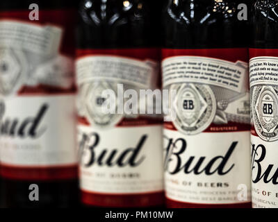 Kiew, Ukraine. 14 Sep, 2018. Budweiser Bier Flaschen im Laden gesehen. Quelle: Igor Golovniov/SOPA Images/ZUMA Draht/Alamy leben Nachrichten Stockfoto