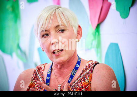 Thema Carole Matthews bei BeaconLit Book Festival in Ivinghoe Stockfoto