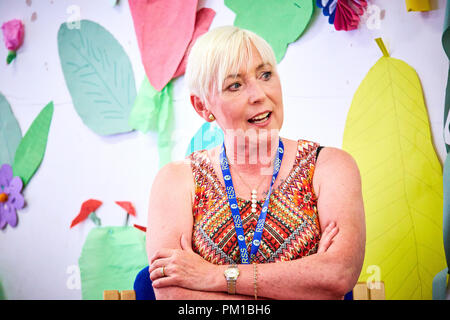 Thema Carole Matthews bei BeaconLit Book Festival in Ivinghoe Stockfoto