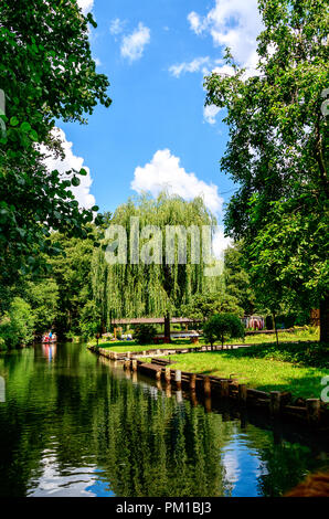 Herrliche Wiesen und Mooren und märchenhaften Idylle - Spreewald Landschaft, in der Nähe von Berlin, Deutschland Stockfoto