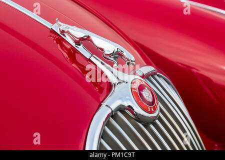 Jaguar XK 150, Motorhaube Detail mit Leaping Cat Maskottchen, kühler Abzeichen und Kühler Grill. 1957 - 1961 Stockfoto