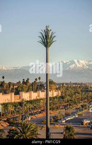 26-02-15, Marrakesch, Marokko. Ein Handy mast duisguised wie eine Palme. Foto © Simon Grosset Stockfoto