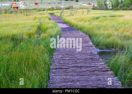 Ein gewundener Pfad von Holz ausgekleidet auf einen Sumpf unter den grünen Gras verlassen zu den Häusern auf der Wiese in den Bergen des Altai in der Nähe des Geysir See Stockfoto