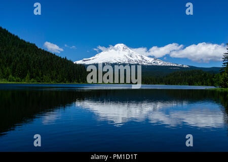 Schneebedeckten Mount Hood Südhang mit Reflexion auf Trillium See, Regierung, Mt Hood National Forest, Oregon. Stockfoto