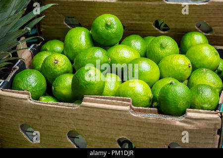 Frische Limetten auf Verkauf in Borough Markt, Southwark, London, UK Stockfoto