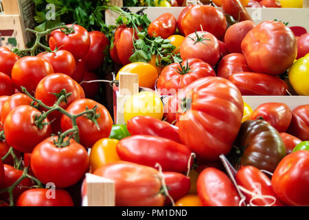 Kiste Frischer gemischter Tomaten auf Verkauf in Borough Markt, Southwark, London, UK Stockfoto