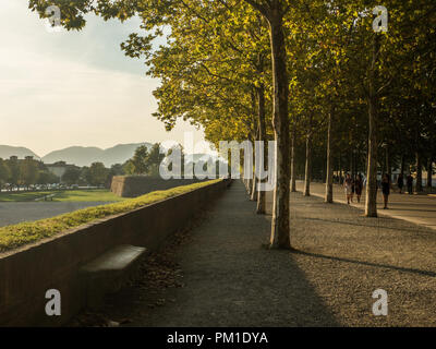 Blick von den Stadtmauern in Lucca, Tuscant, Italien Stockfoto