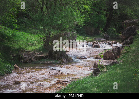 Die stream unter Steinen, üppigen Sträuchern und grünes Gras im Frühling Stockfoto